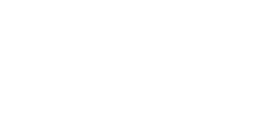 SecWebs Logo